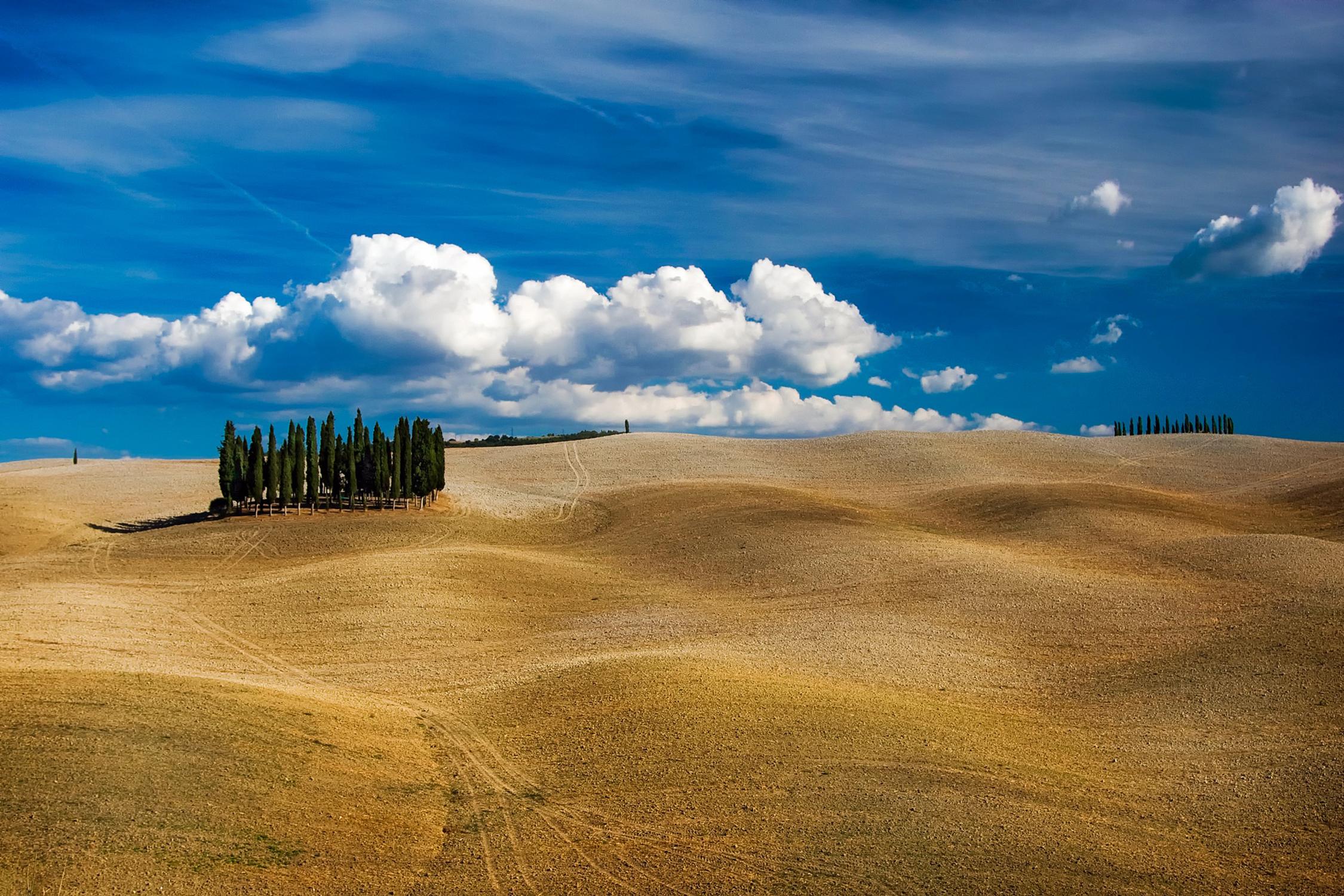 Agriturismo Borgo Dante in Castiglion Fiorentino | What to see in the surroundings